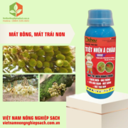 TIỆT NHỆN Á CHÂU 500SC (3)