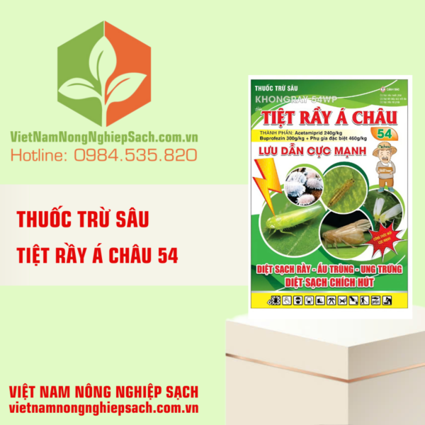 TIỆT RẦY Á CHÂU 54