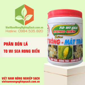 TO WI SEA RONG BIỂN