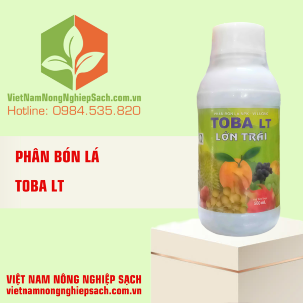 TOBA LT