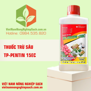 TP-PENTIN 15EC