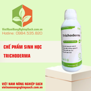 TRICHODERMA