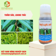 TRỢ LỰC 247 (2)