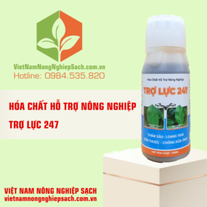 TRỢ LỰC 247