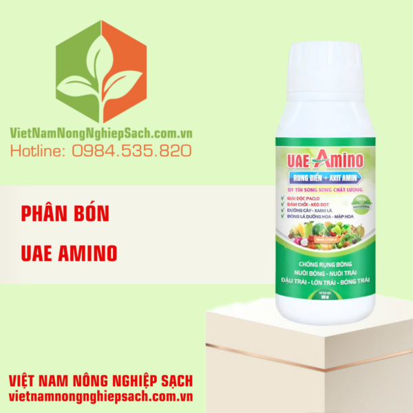 UAE AMINO