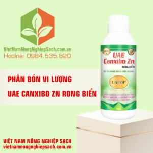 UAE CANXIBO ZN RONG BIỂN