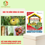 UAE KHẮC TINH NẤM BỆNH (2)