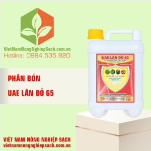 UAE LÂN ĐỎ 65