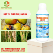 UAE MANCOZ LẠNH (3)