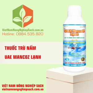 UAE MANCOZ LẠNH