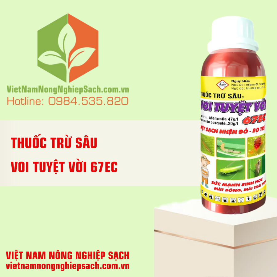 VOI TUYỆT VỜI 67EC