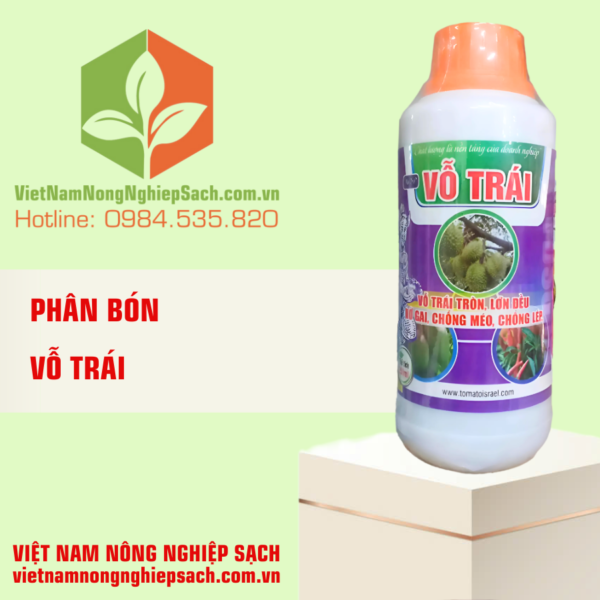 VỖ TRÁI