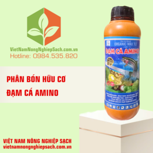 ĐẠM CÁ AMINO