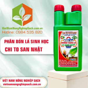 CHI TO SAN - vietnamnongnghiepsach.com.vn 3