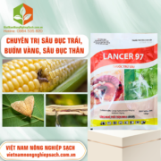 LANCER 97 - vietnamnongnghiepsach.com.vn 3