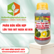 LỚN TRÁI MÍT NGỪA XƠ ĐEN - vietnamnongnghiepsach.com.vn 4