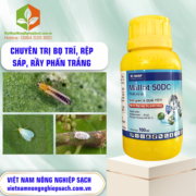MALLOT 50DC - vietnamnongnghiepsach.com.vn 1