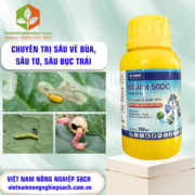 MALLOT 50DC - vietnamnongnghiepsach.com.vn 2