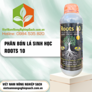 ROOTS - vietnamnongnghiepsach.com.vn 4
