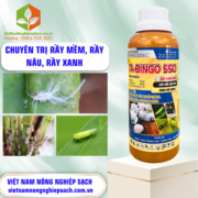 TA-BINGO 550 - vietnamnongnghiepsach.com.vn 2