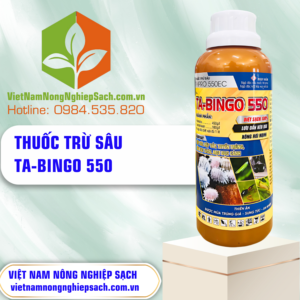 TA-BINGO 550 - vietnamnongnghiepsach.com.vn 3