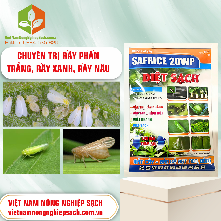 SAFRICE 20WP DIỆT SẠCH