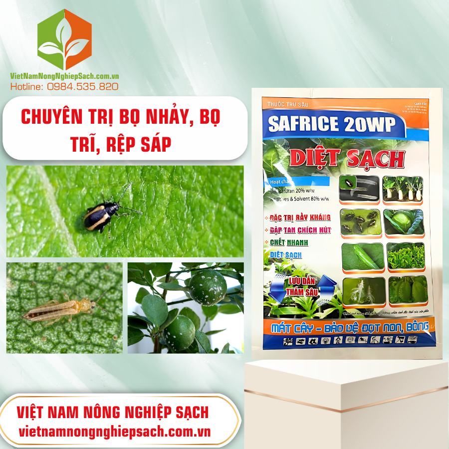 SAFRICE 20WP DIỆT SẠCH