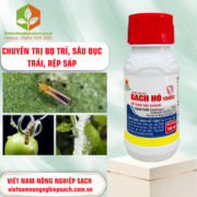 BẠCH HỔ - vietnamnongnghiepsach.com.vn 2