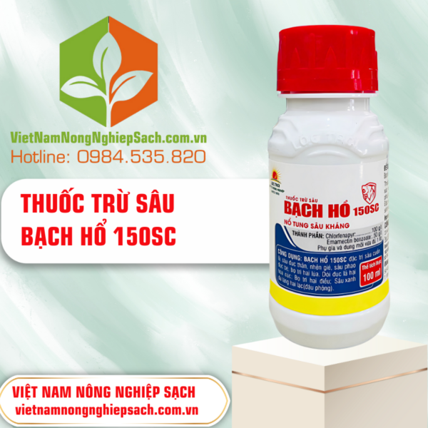 BẠCH HỔ – vietnamnongnghiepsach.com.vn 3
