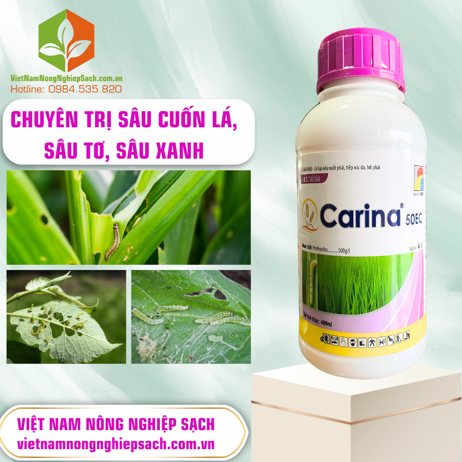 CARINA 50EC