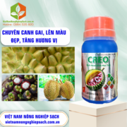 CREO - vietnamnongnghiepsach.com.vn 2