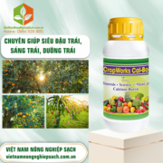 CROPWORKS - vietnamnongnghiepsach.com.vn 1