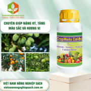 CROPWORKS - vietnamnongnghiepsach.com.vn 2