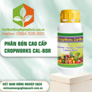 CROPWORKS - vietnamnongnghiepsach.com.vn 3