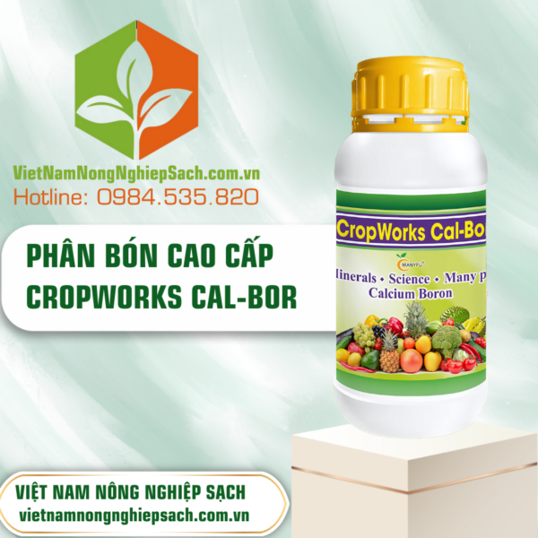 CROPWORKS – vietnamnongnghiepsach.com.vn 3