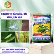 DICHEST 111WP - vietnamnongnghiepsach.com.vn 2