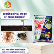 HU.MIC THAI - vietnamnongnghiepsach.com.vn 1