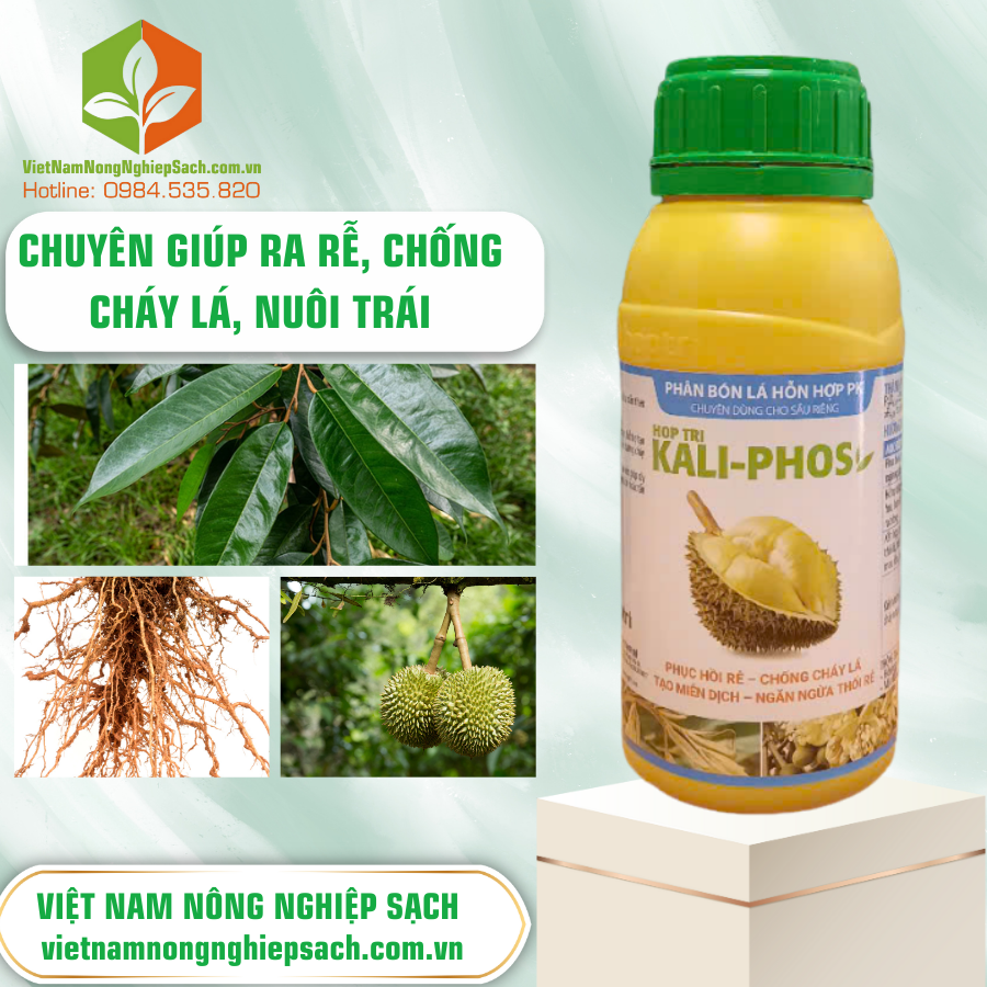 KALI-PHOS HỢP TRÍ