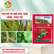 OXYCIN 100WP - vietnamnongnghiepsach.com.vn 1