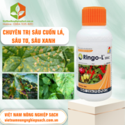 RINGO-L - vietnamnongnghiepsach.com.vn 1