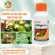 RINGO-L - vietnamnongnghiepsach.com.vn 2