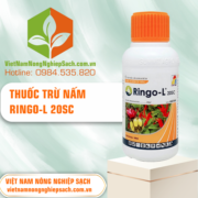 RINGO-L - vietnamnongnghiepsach.com.vn 3