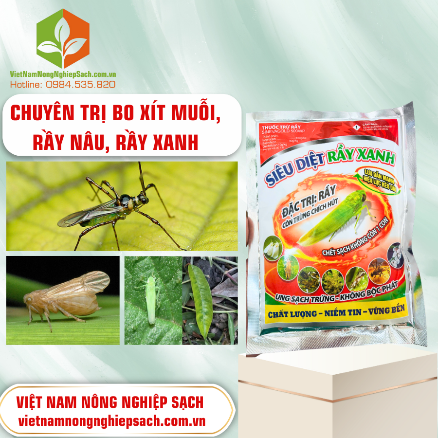 SIÊU DIỆT RẦY XANH