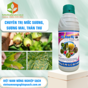 VIL HOA KỲ 100 - vietnamnongnghiepsach.com.vn 1