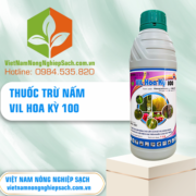 VIL HOA KỲ 100 - vietnamnongnghiepsach.com.vn 3