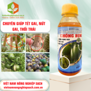 VINAKOM - vietnamnongnghiepsach.com.vn 2