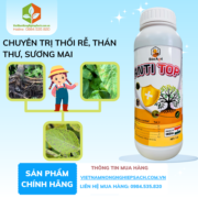 ANTI TOP​ - vietnamnongnghiepsach.com.vn 2