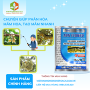 APN FLOWER - vietnamnongnghiepsach.com.vn 1
