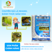 APN FLOWER - vietnamnongnghiepsach.com.vn 2