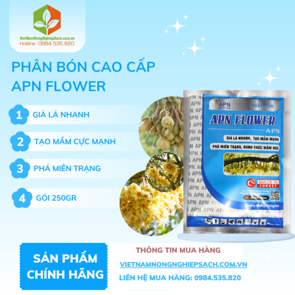 APN FLOWER – vietnamnongnghiepsach.com.vn